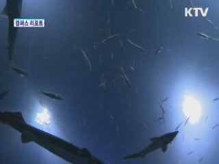 충북 단양 다누리 생태관 [캠퍼스 리포트]