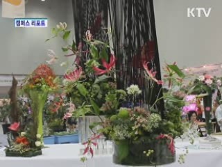 알록달록 컬러풀 '대구 꽃 잔치' [캠퍼스 리포트]