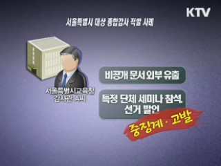 서울교육청 공무원 293명 징계·고발…전 감사관 포함