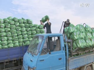 지난달 물가 1% 상승…일곱 달째 1%대