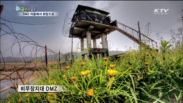 광복 70년, 분단의 상징 DMZ 재조명