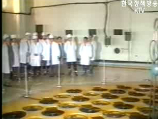 `초기 이행조치 지연 큰 문제 아니다`