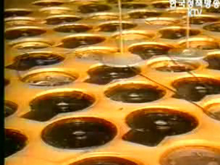 미 국무부, `내년 초까지 북핵 협상 완료`