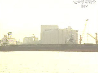 경제자유구역 특별지자체 전환 가능