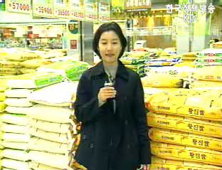 생활정책 Q&A - 탑 라이스