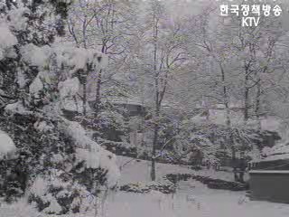 영동지방의 설경(72`) 등