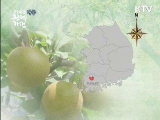 나주, 영산강은 흐른다 - 나주시 편