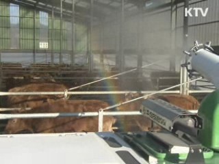 "AI 바이러스 철새가 유입, 사람이 확산"