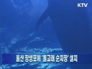 울산 장생포에 '돌고래 순치장' 설치