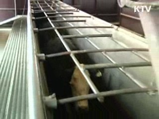 민·관 조사단 美 국립수의연구소 방문