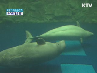 흰돌고래부터 미래해양까지 '한눈에'