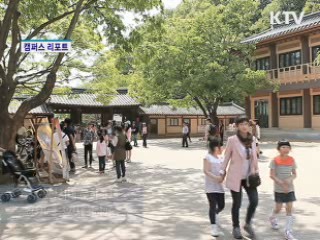 민속촌, 조선시대 문화축제