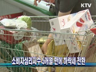 소비자심리지수 5개월 만에 하락세 전환
