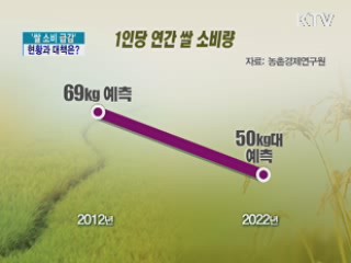 '쌀 소비 급감', 현황과 대책은?