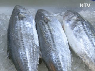 설 앞두고 비축 수산물 최대 반값 판매