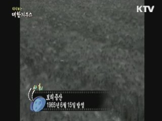 다시보는 대한늬우스 (65.06.15)