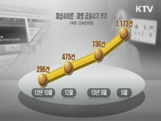 피싱사이트·파밍···'첨단 금융사기' 급증