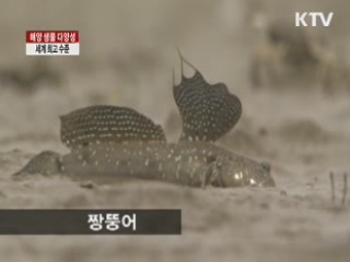 우리 연안 생물 다양성 '세계 최고'