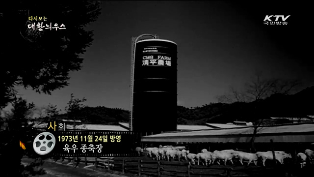 다시보는 대한늬우스 (73.11.24)