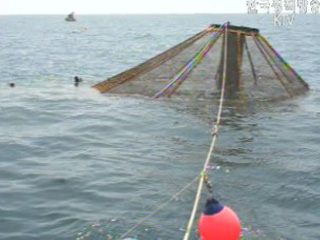 외해수중가두리 양식 ‘경제성 높다’ 연구 발표