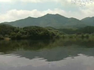 4대강 540만평 수변생태벨트 로 조성