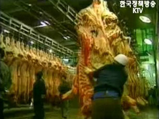 농업대국 네덜란드, 개방화시대 성공모델