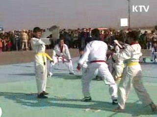 태권도, 국가브랜드 제고 '첨병'으로