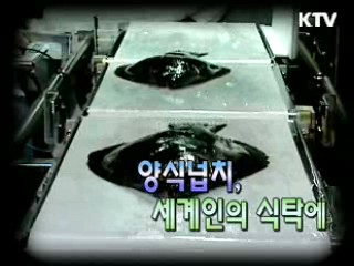 양식넙치, 세계인의 식탁에 [이것이 최고]