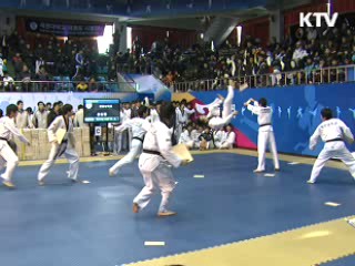세계태권도 한마당 개막