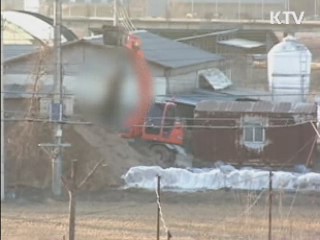 구제역 다시 확산···차단 총력대응