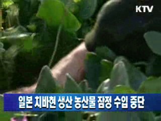 일본 치바현 생산 농산물 잠정 수입 중단