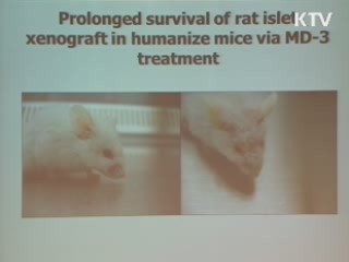 이종장기이식 제도화 추진 TF 운영