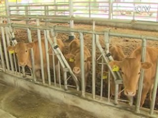 한우 소비 적극 확대, 사육두수 감축 유도