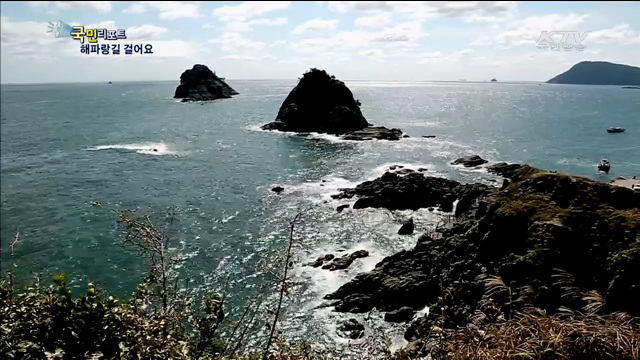 가을빛 물든 해파랑길 함께 걸어요