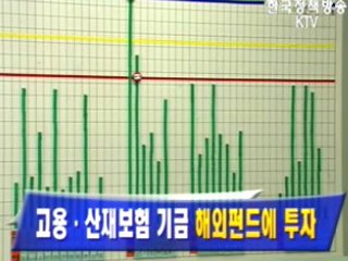 고용·산재보험 기금 해외펀드에 투자