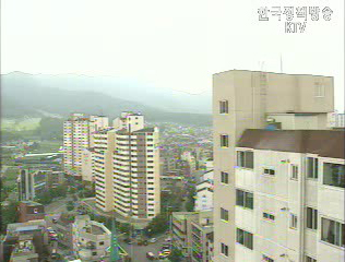 8.31 후속대책 정치논쟁 넘어야