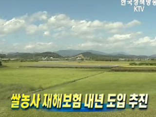 쌀농사 재해보험 내년 도입 추진 