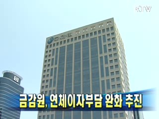 금감원, 연체이자부담 완화 추진