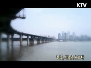 한강, 서울을 흐르다 [대동문화도]