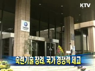 숙련기술 장려, 국가 경쟁력 제고
