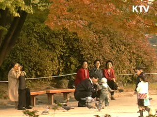 대체 공휴일 제도 검토