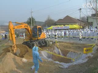 정부, 구제역 방역조치 강화