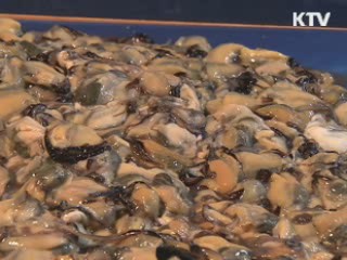 "경남 일부 해안 마비성 패류독소 주의"