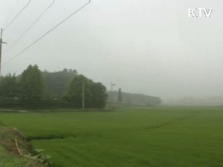 '농촌개발사업' 으로 되살아난 농촌