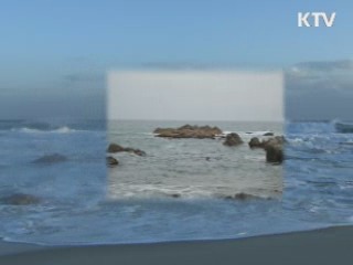 동해에서 새로운 바위섬 700개 찾았다