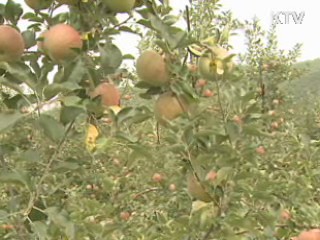 친환경 농업 5년간 4조 4천억원 투자