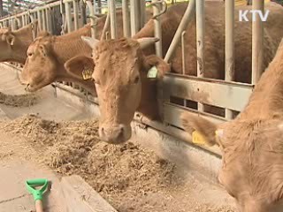 대규모 농가부터 '축산업 허가제' 도입
