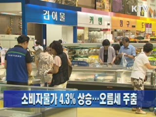 소비자물가 4.3% 상승…오름세 주춤