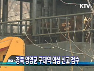 경북 영양군, 구제역 의심 신고 접수
