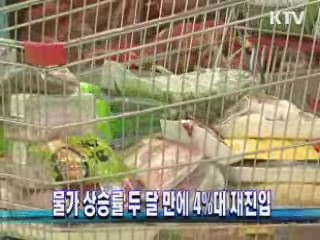 물가 상승률 두 달 만에 4%대 재진입